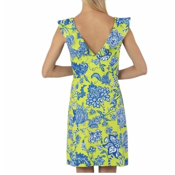 Gretchen Scott Designs Dresses & Skirts - Gretchen Scott Fling Fantasy Dress Lime Green Blue Floral Size XS Ruffle V Neck